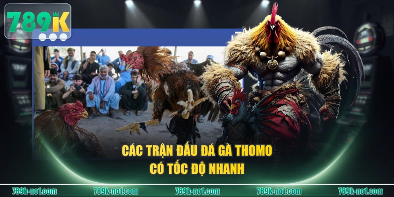 Các trận đấu Đá Gà Thomo có tốc độ nhanh
