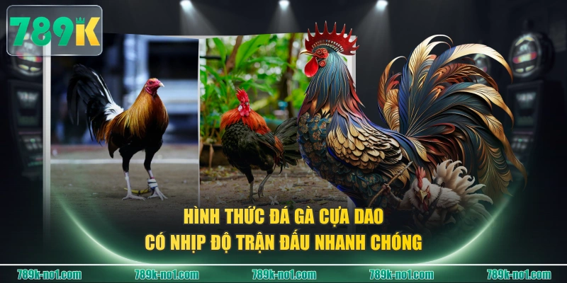 Hình thức đá gà cựa dao có nhịp độ trận đấu nhanh chóng